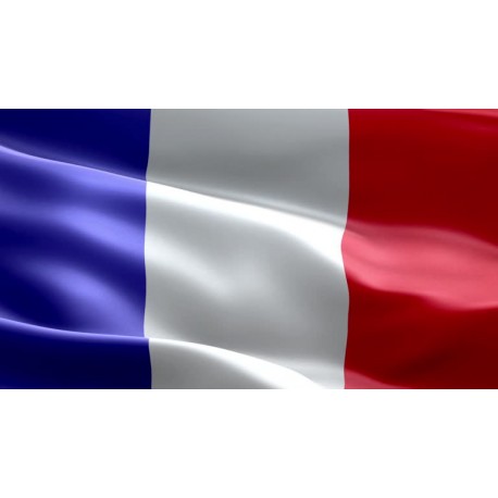 France Smtp Server - Spf, Dkim, Dmarc Configured ( New Domain - Private & IP Clear )