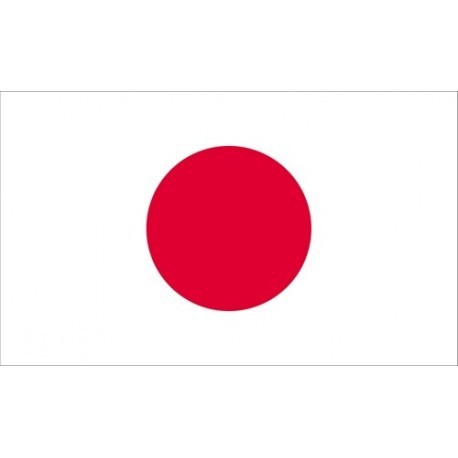 ( 30 Days ) Japan Smtp Server - Spf, Dkim, Dmarc Configured ( New Domain - Private & IP Clear )