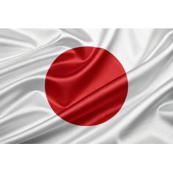 JAPAN ( 30 Days ) 2G RAM RDP Admin Port 25 Open ( Ip Clear )