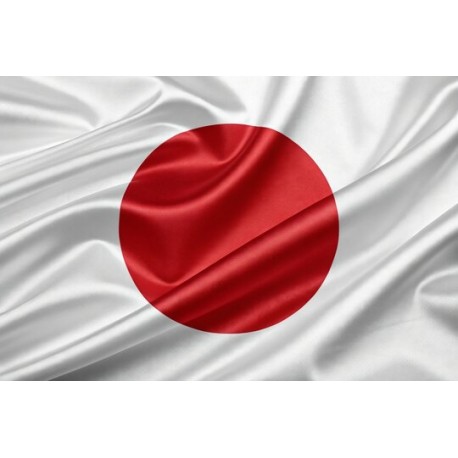 JAPAN ( 30 Days ) 2G RAM RDP Admin Port 25 Open ( Ip Clear )