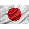 JAPAN ( 30 Days ) 2G RAM RDP Admin Port 25 Open ( Ip Clear )