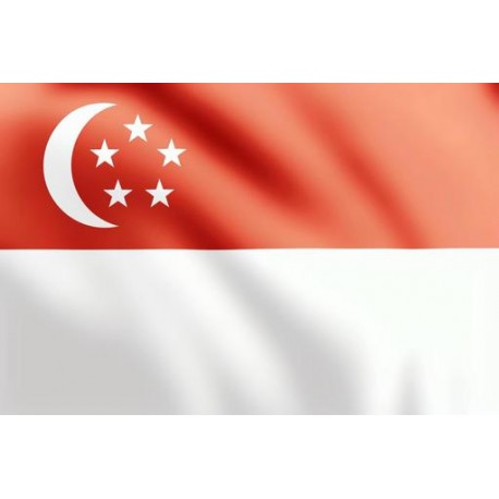 Singapore ( 30 Days ) 2G RAM RDP Admin Port 25 Open ( Ip Clear )