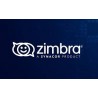 Zimbra Business Webmail ( Long-standing domain with high reputation )
