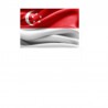 1,000,000 Singapore  - RAW BUSINESS Domain EMAILS [ 2022 Updated ]