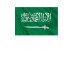 1,000,000 Saudi Arabia  - RAW BUSINESS Domain EMAILS [ 2022 Updated ]