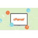 CPANEL | SHELL | WHM | DOMAIN | PRIVATE DOMAIN MAIL